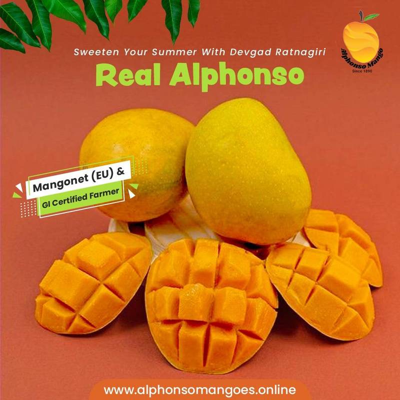Ratnagiri Queen Alphonso Mango: 1 Dozen 1 Order ratnagiri alphonso mango