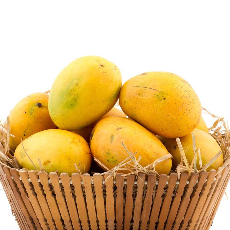 Queen Kesar Mango online : 10 Pieces 1 Order Kesar Mangoes online