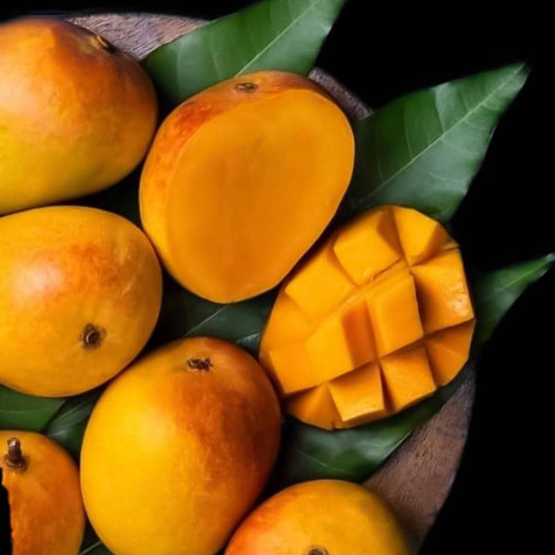 Ratnagiri Prince Alphonso Mango: 1 Dozen 1 Buy Devgad mango