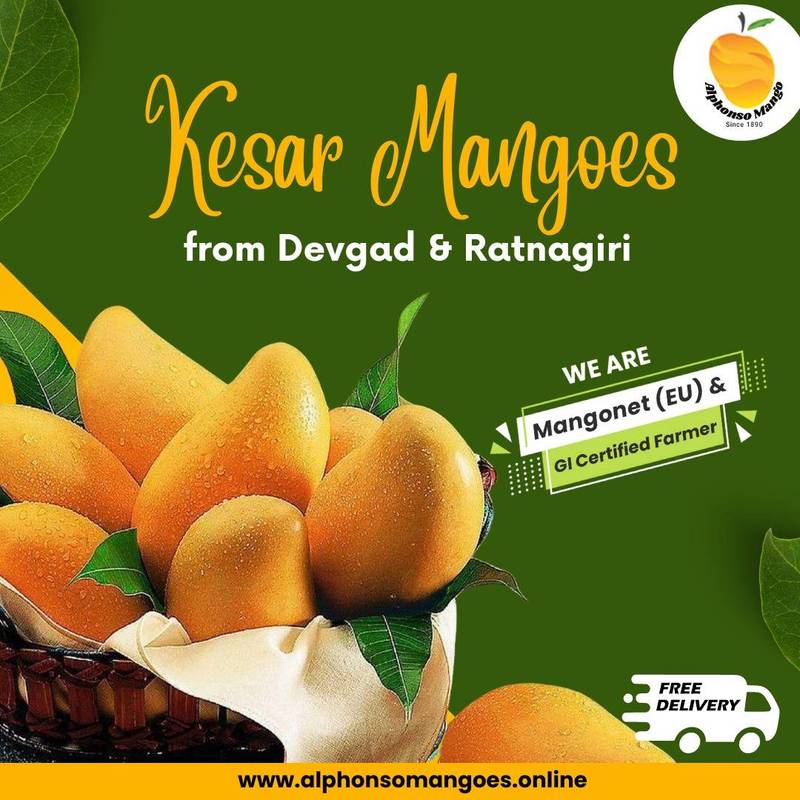 (Kesar Mangoes online: K : 10 Pieces + Alphonso Pulp: 500gms) : Combo 5 1 Buy Kesar Mango Online